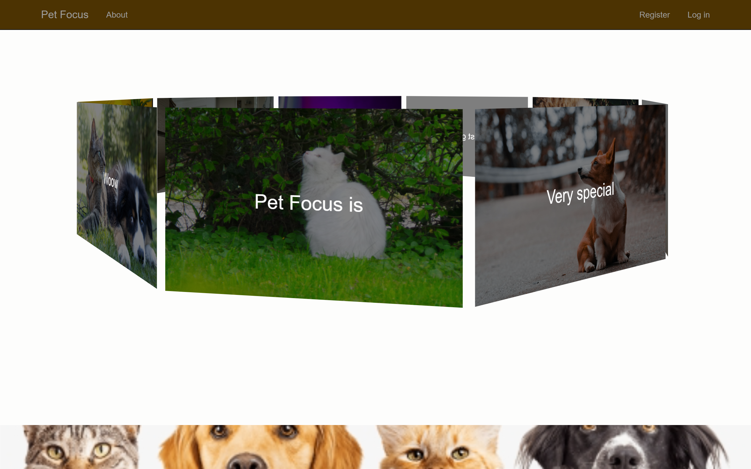 Pet Focus